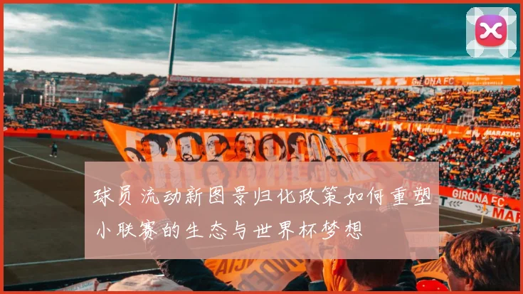 球员流动新图景归化政策如何重塑小联赛的生态与世界杯梦想