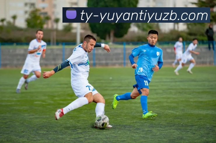 雨燕体育直播APP 高清赛事图